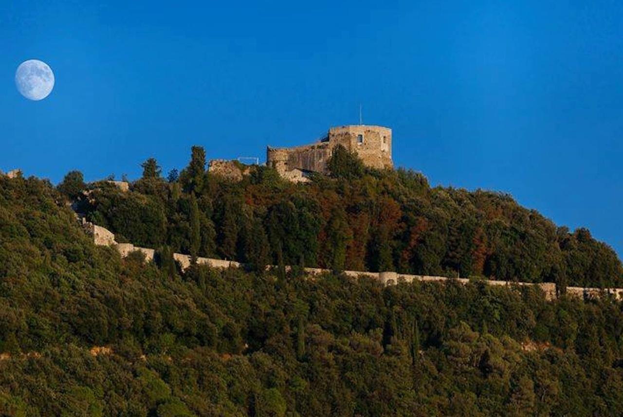 Tuscany House Of Artist Montignoso Exterior photo